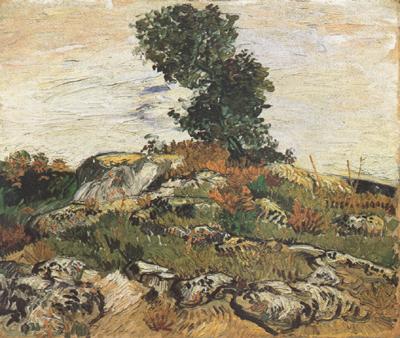 Vincent Van Gogh Rocks with Oak Trees (nn04) oil painting picture